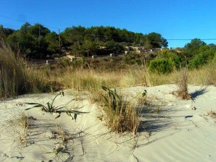 Lacunes naturelles - L'Estany Tort