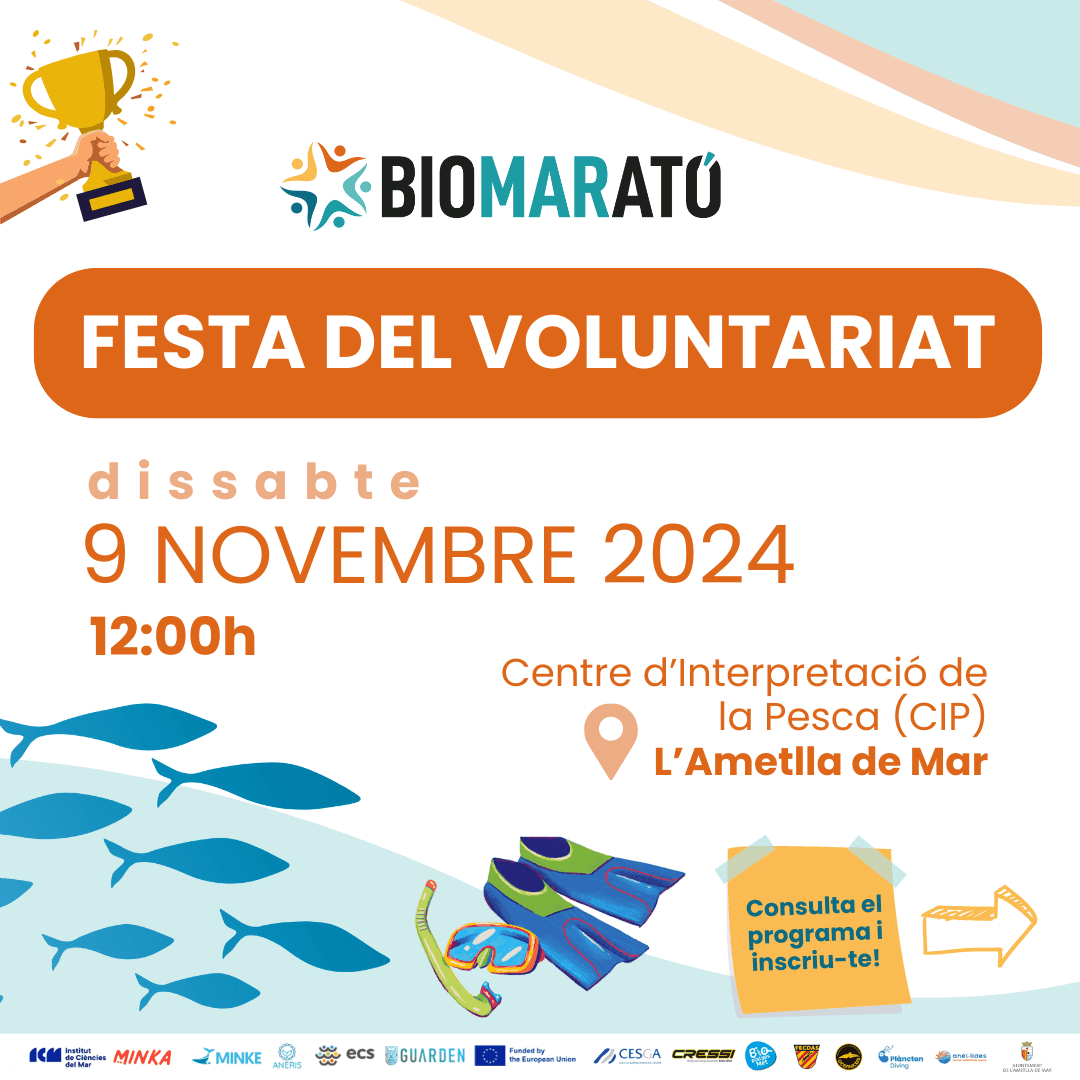 Festa del Voluntariat