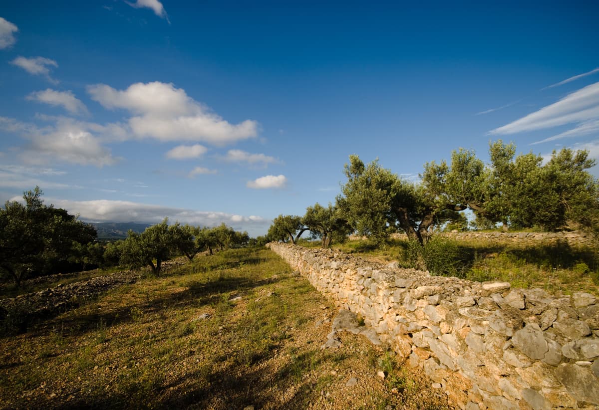 Ruta de natura a la costa