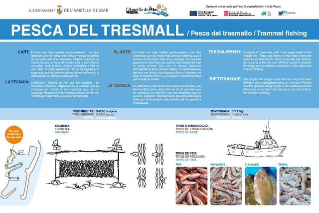 5. Trammel fishing (Route: Discover the essence of a fishing village).