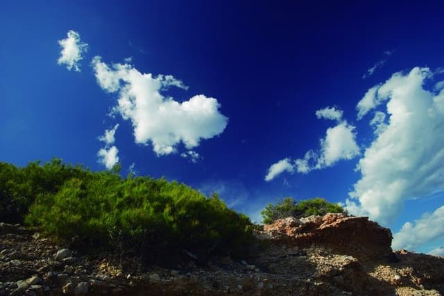 5. Acantilados costeros ( Ruta de la Natura costa)