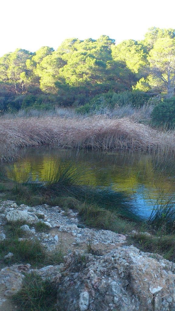 9. Espacio de interés natural de la playa de "Santes Creus" (Ruta GR-92)