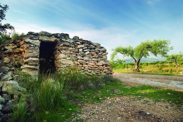 1. Márgenes y estructuras con piedra seca (Ruta de los olivos)