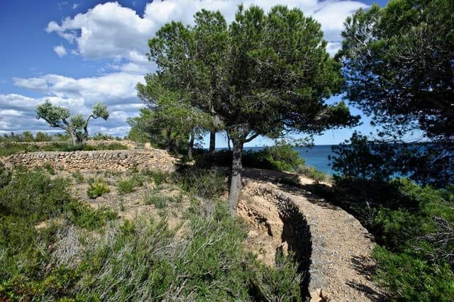 10. Trincheras de "l'Estany Podrit" (Ruta GR-92)