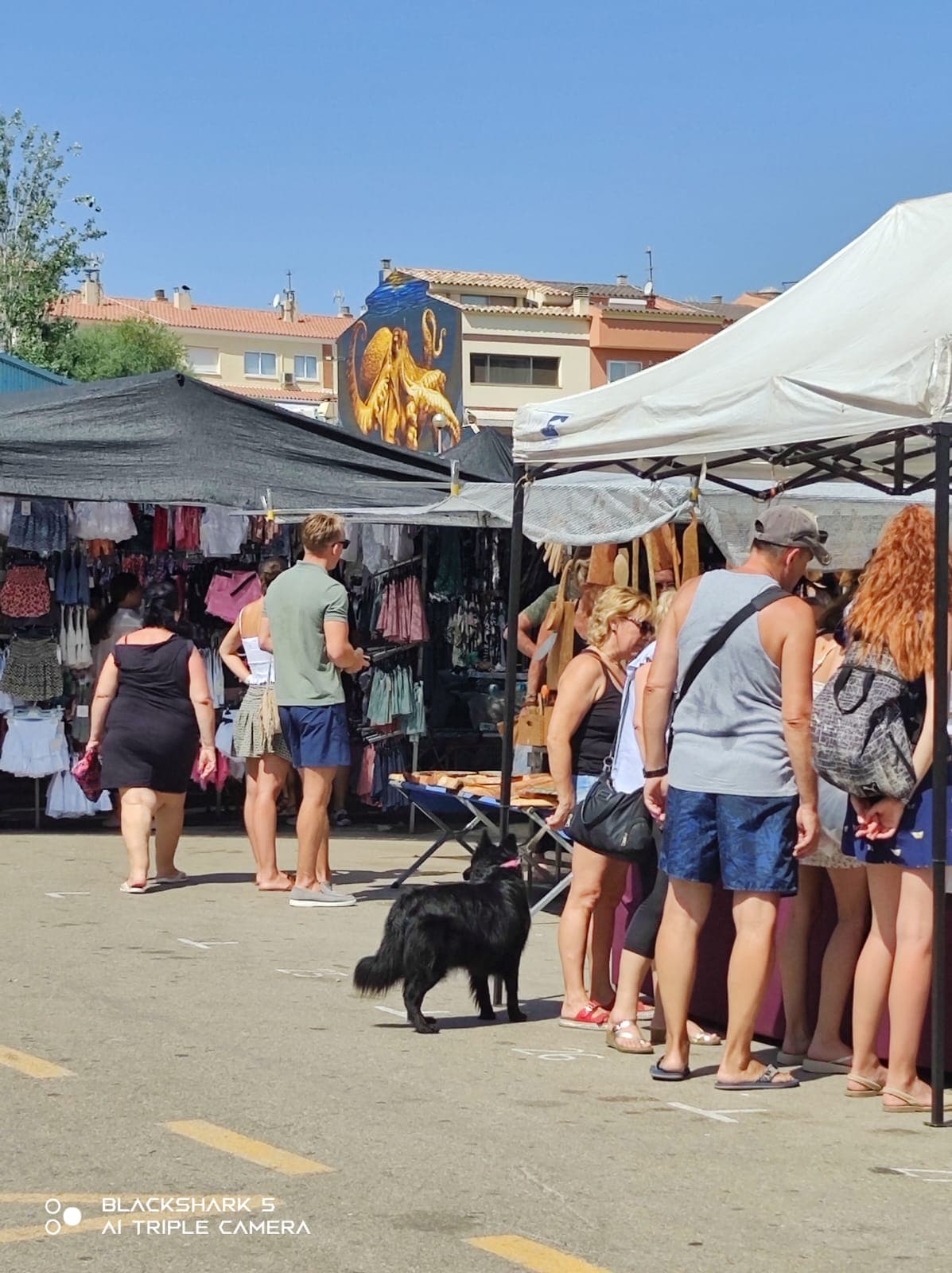 Municipal Market