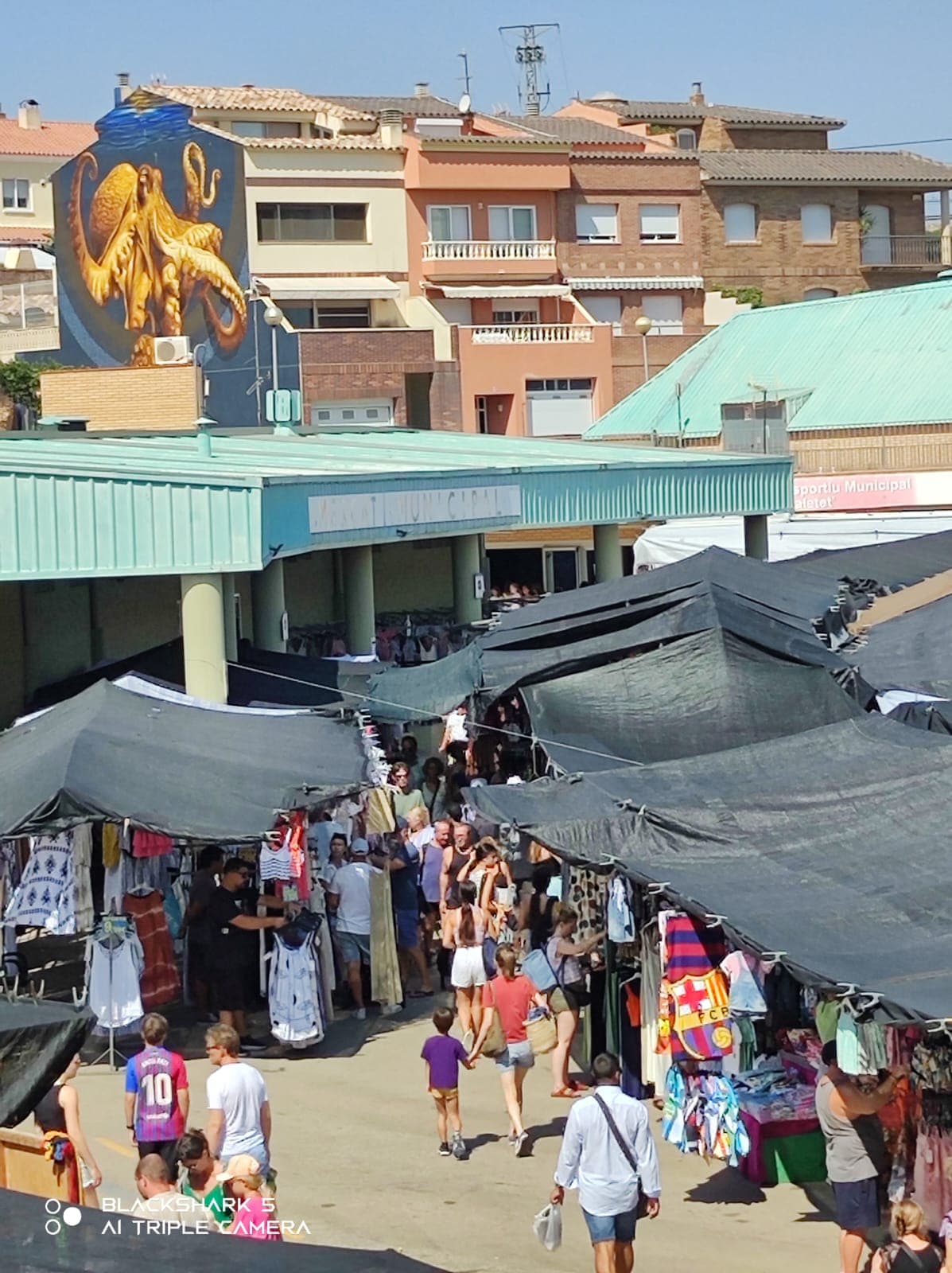 Municipal Market