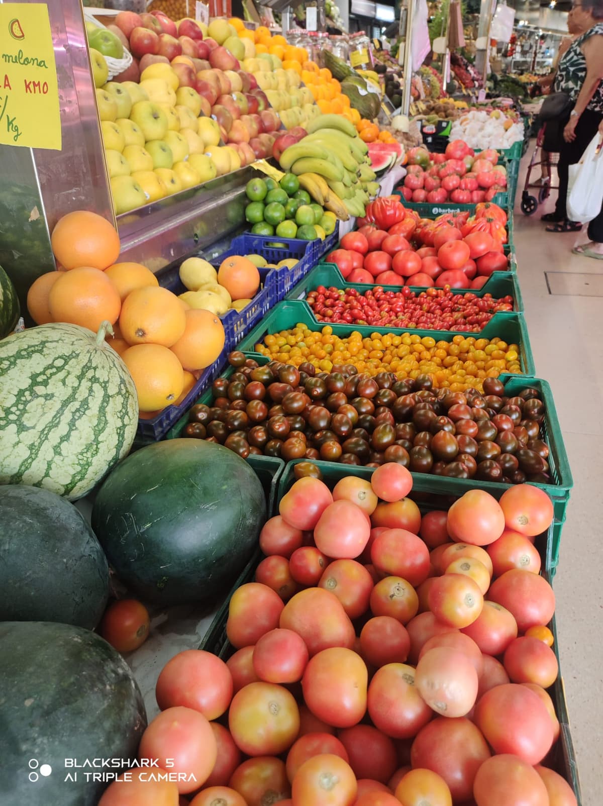 Municipal Market