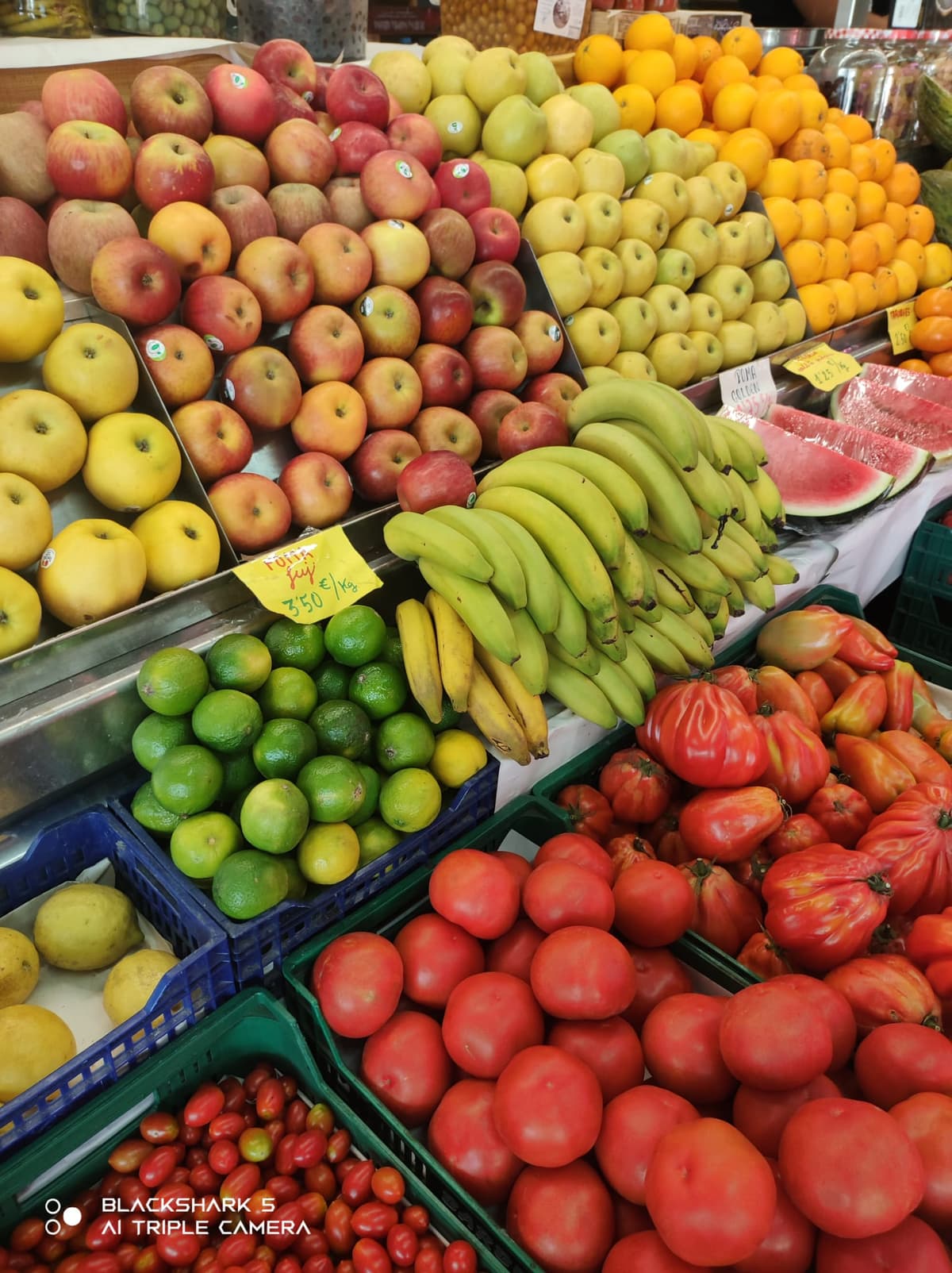 Municipal Market