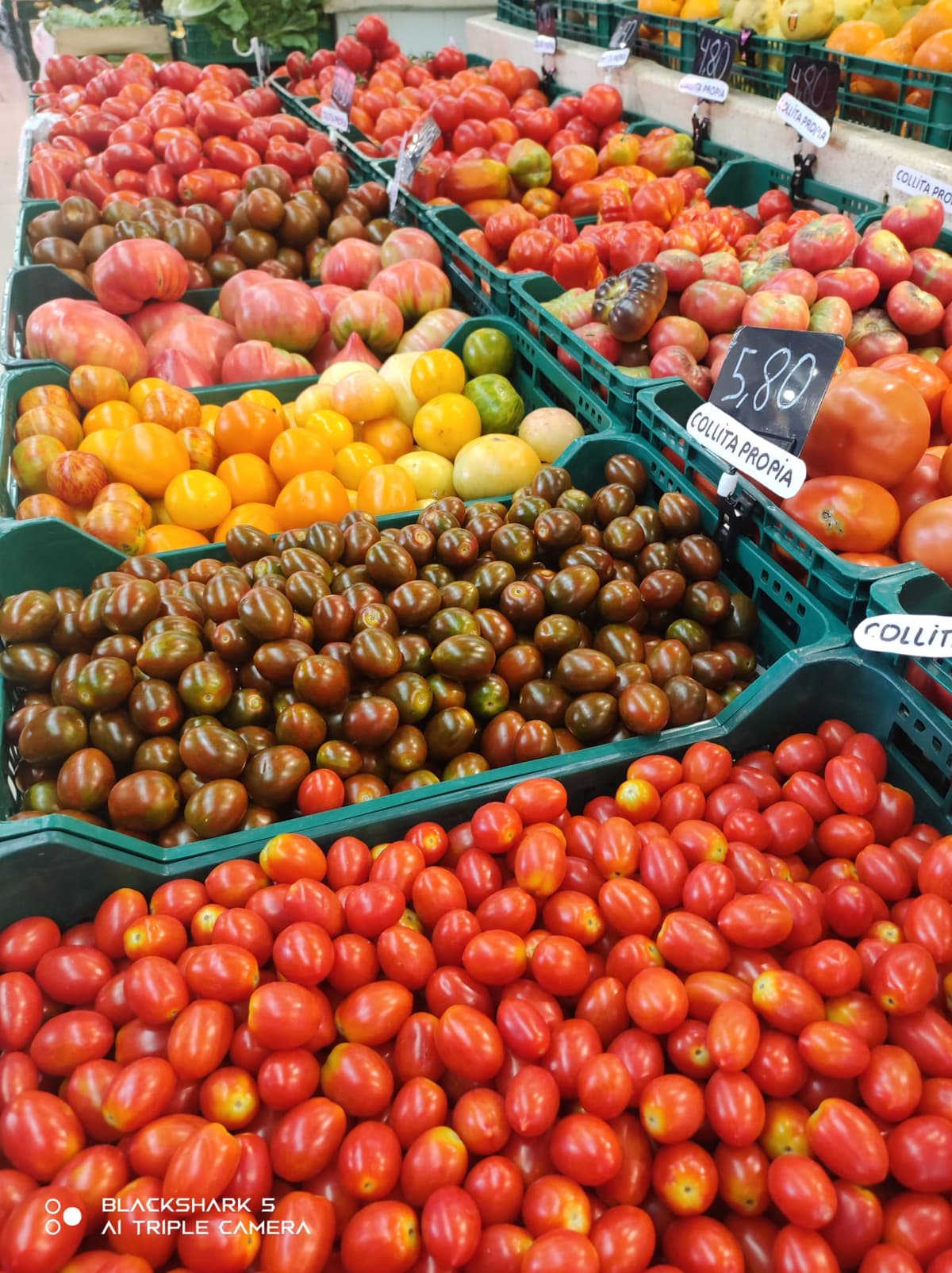 Municipal Market